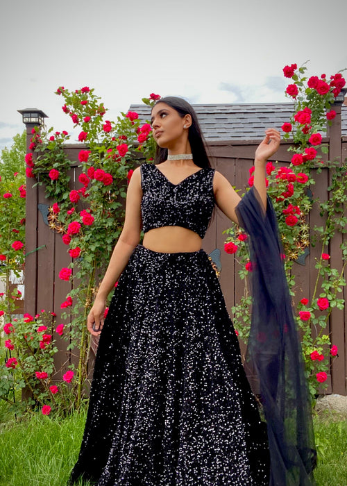 Bhano Lehenga Pink